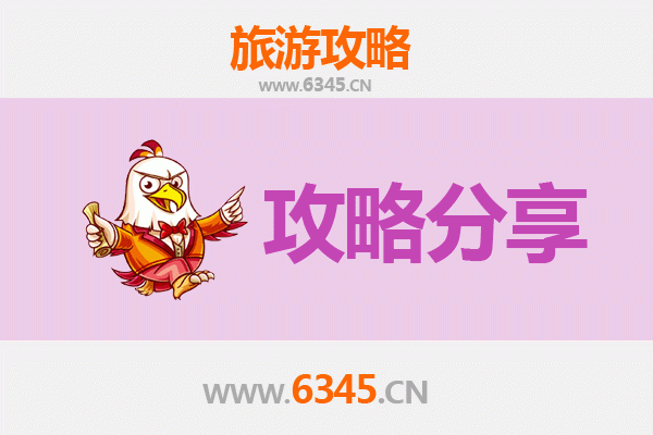 梧州龙圩至湄洲岛旅游攻略：跟团还是自由行？资深博主全面解析